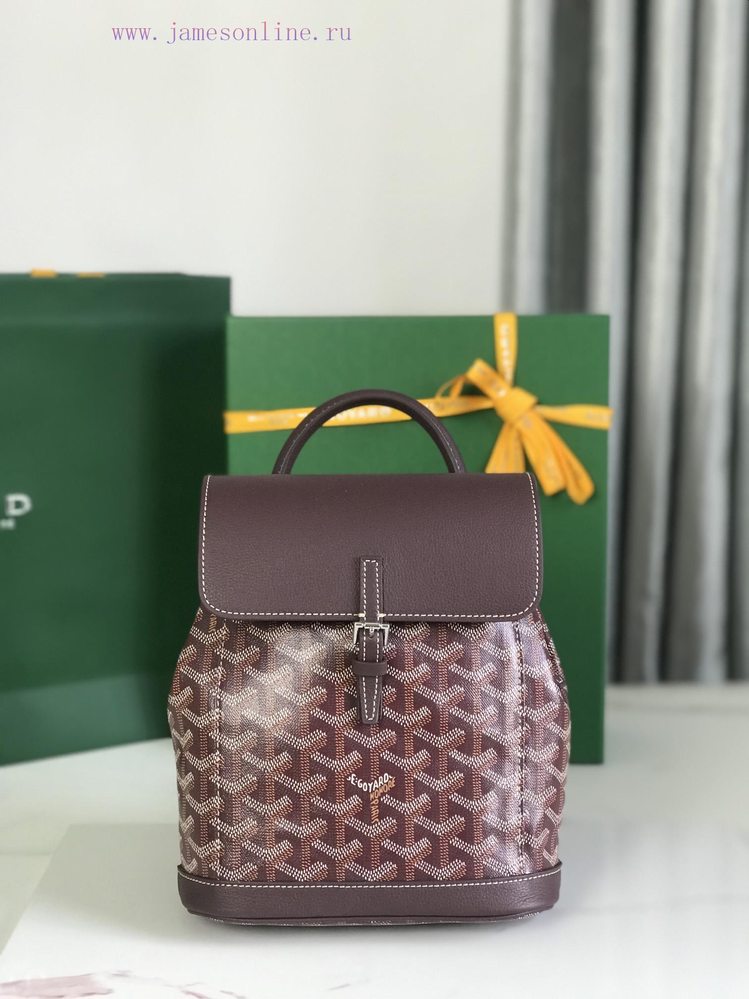 Goyard ALoro Pianain Mini Backpack Upgraded Delivery Original Gift Box Upgraded Manual Ribbo a0r3ro7h - Image 2