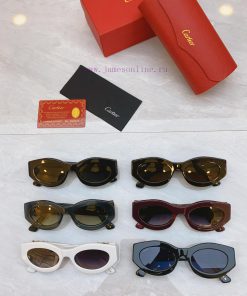 Cartier Cartier new sunglasses, MODELCT0313, SIZE53 mouth 21-14366djcxzg
