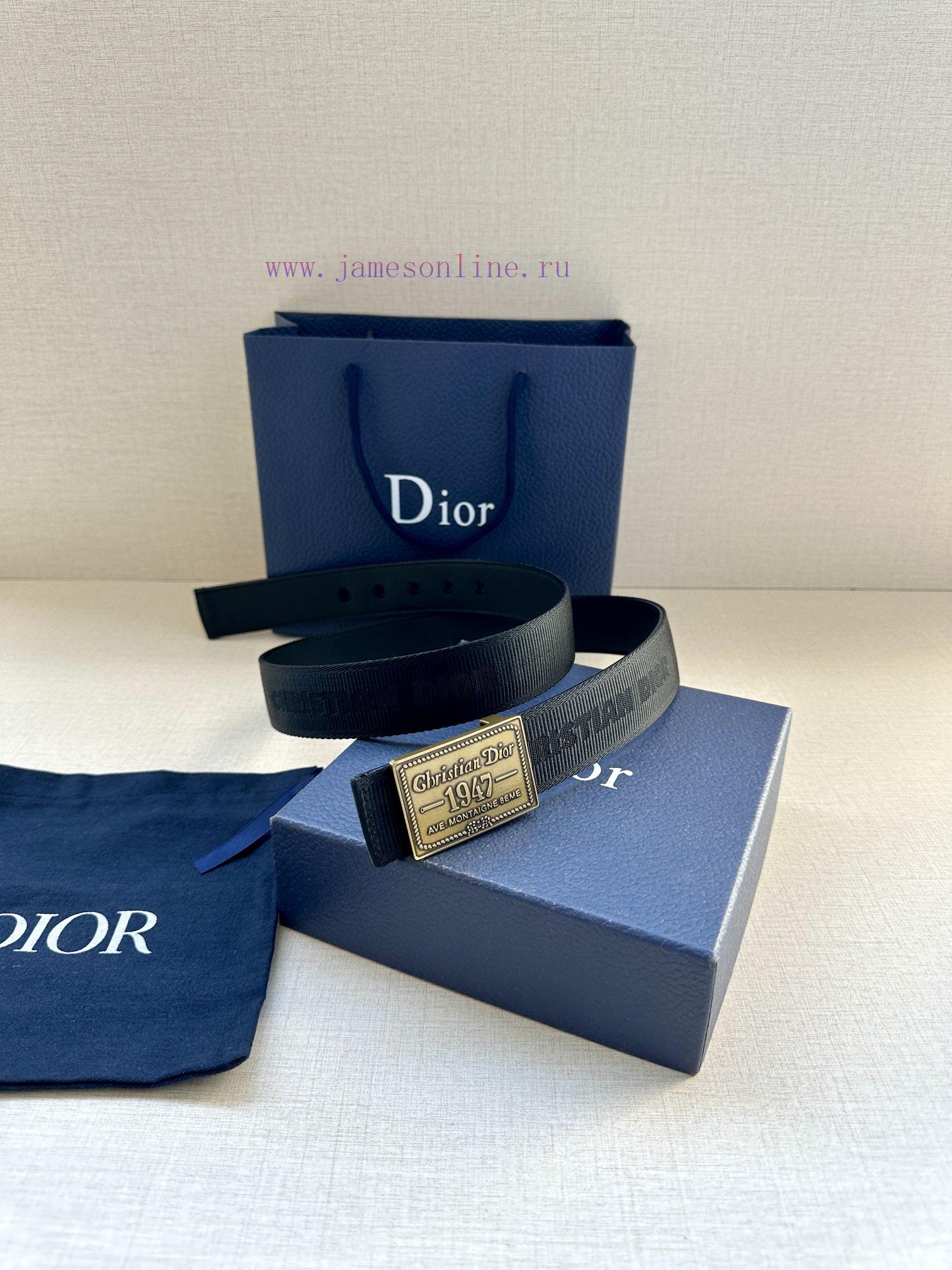 This 3.5cm wide waistband buckle is a new item from Dior, continuing the classic design and pv0ppgak - Image 4