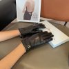 Dior Sheepskin Gloves, Fashionable Gloves, Warm in Autumn and Winter with Velvet Inner Linin07lanjf9