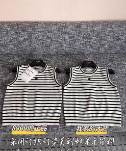 Celine 25 Early Spring Wool Vest 🐮 8900 Purchase Zp Disassembly And Manufacturing Customized We 5tvihtds